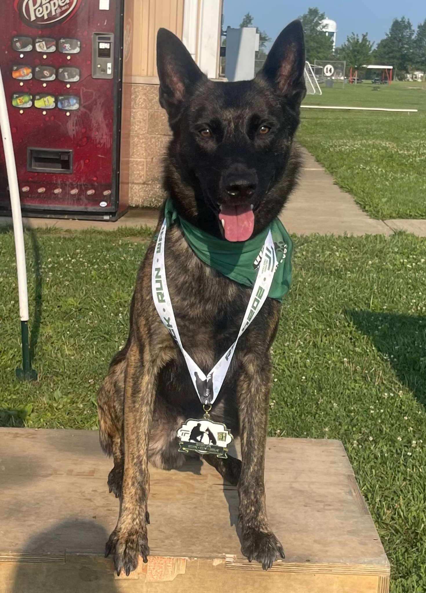 Kelsey Tipton, Administrative Coordinator photo